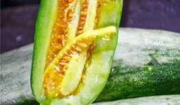 吃瓜都要吃网红瓜,紧跟潮流，畅享网络美食